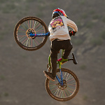 Pánské tričko s dlouhým rukávem TroyLeeDesigns RedBull Rampage Altered Reality LS Tee Cement