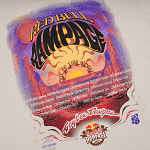 Pánské tričko TroyLeeDesigns X RedBull Rampage Valley Of Gods Tee Bone